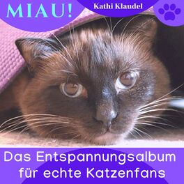 Album cover of Miau! (Das Entspannungsalbum für echte Katzenfans)