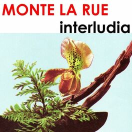 Album cover of Interludia