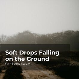 Album cover of Soft Drops Falling on the Ground