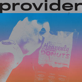 Album cover of Provider