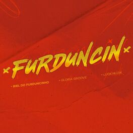 Album cover of Furduncin
