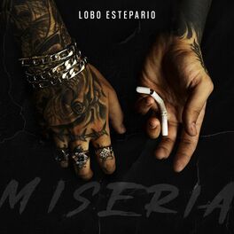 Album cover of Miseria