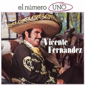 Vicente Fernández - No Hay Nada Completo (Album Version): Canción con letra  | Deezer