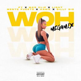 Album cover of WOH (MegaMix)
