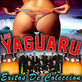 Album cover of Exitos de Colección