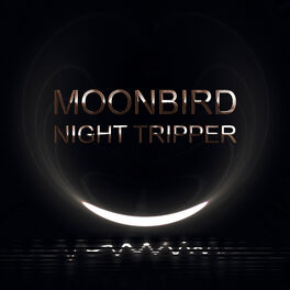 Album cover of Night Tripper