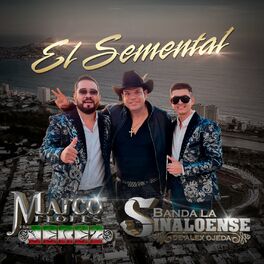 Album cover of El Semental
