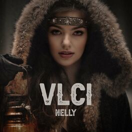 Album cover of Vlci