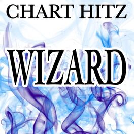 Album cover of Wizard - Tribute to Martin Garrix and Jay Hardway