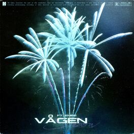 Album cover of Vågen (feat. Emre)