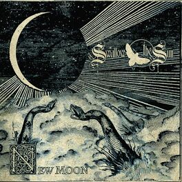 Album cover of Falling World