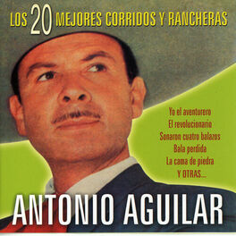 Album cover of Los 20 Mejores Corridos y Rancheras