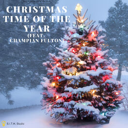 Album cover of Christmas Time of the Year (Remix)