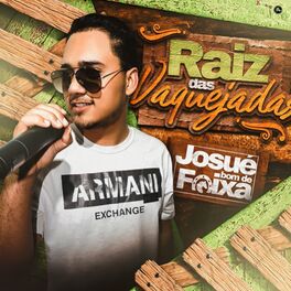 Album cover of Raiz das Vaquejadas