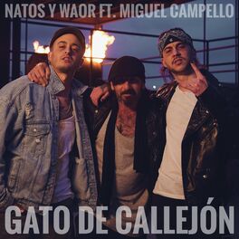 Album cover of Gato de callejón (feat. Miguel Campello)