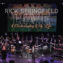 Album cover of Orchestrating My Life (Live)