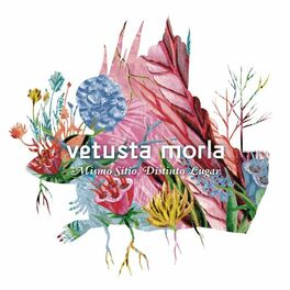 Album cover of Mismo Sitio, Distinto Lugar