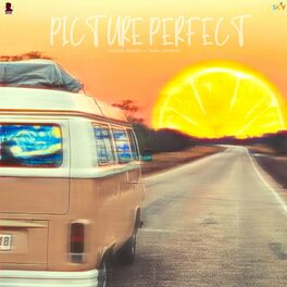 Album cover of Picture Perfect
