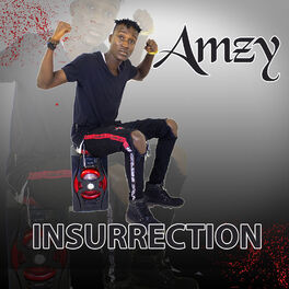 Album cover of Insurrection