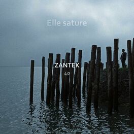 Album cover of Elle sature