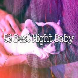 Album cover of 56 Best Night Baby