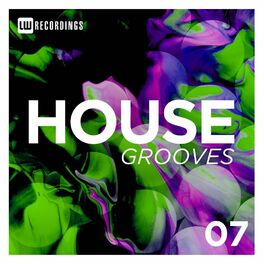 Album cover of House Grooves, Vol. 07