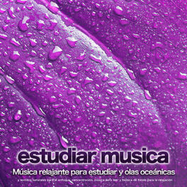Album cover of Estudiar musica: Música relajante para estudiar y sonidos de lluvia y sonidos naturales para el enfoque, concentración, música par