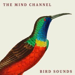 Album cover of Bird Sounds