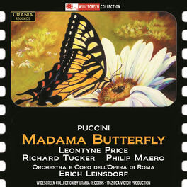 Album cover of Puccini: Madama Butterfly (Madame Butterfly) [Recorded 1962]