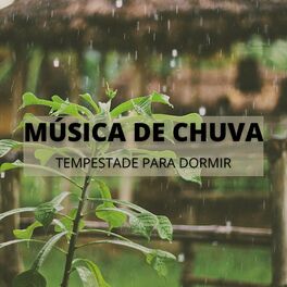 Album cover of Música De Chuva: Tempestade Para Dormir