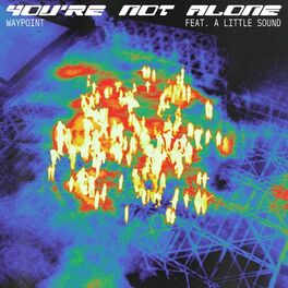 Album cover of You're Not Alone (feat. A Little Sound)
