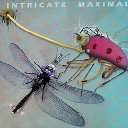 Album cover of Intricate Maximals