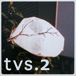 Album cover of TVS.2 (2017 remastered version)