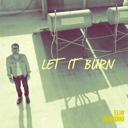 Album cover of Let It Burn