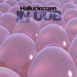 Album cover of In Dub mixed by Ott
