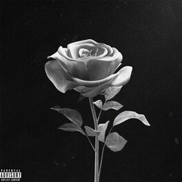 Album cover of SNOW WHITE