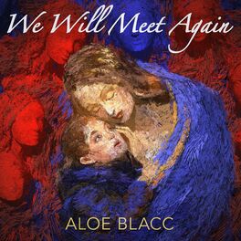 Album cover of We Will Meet Again