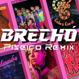 Album cover of Brechó (Piseiro Remix)