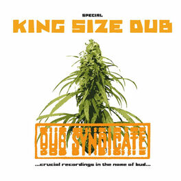 Album cover of Special King Size Dub