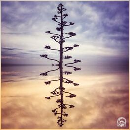 Album cover of Feelin' like a Bird
