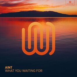 Album cover of What You Waiting For