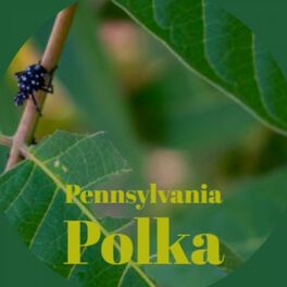 Album cover of Pennsylvania Polka