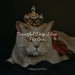Album cover of Powerful Deep Sleep For Cats