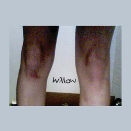 Album cover of Willow