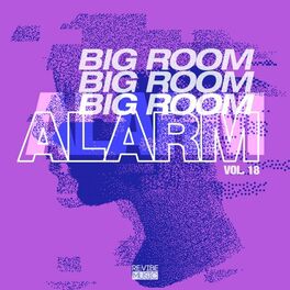 Album cover of Big Room Alarm, Vol. 18