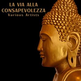Album cover of La via alla consapevolezza