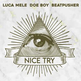 Album cover of Nice Try