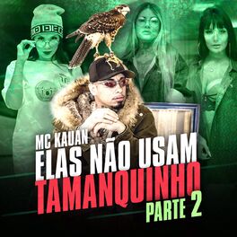 Album cover of Elas Não Usam Tamanquinho, Pt. 2