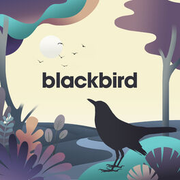 Album cover of Blackbird - EP