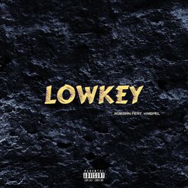 Album cover of Lowkey (feat. Krispel)